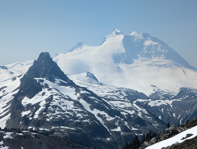 Guard from Gentian Pass in the Summer