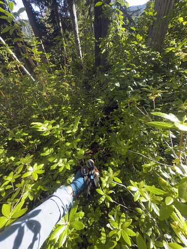 Sustained BW2, easily - If you're a dumbass