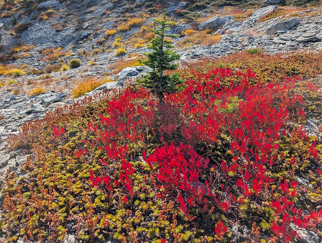 PXL_20251009_214726985