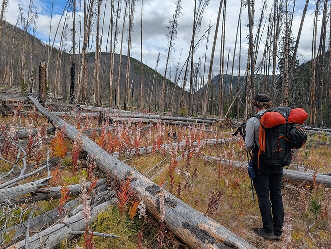 Let the blowdown begin