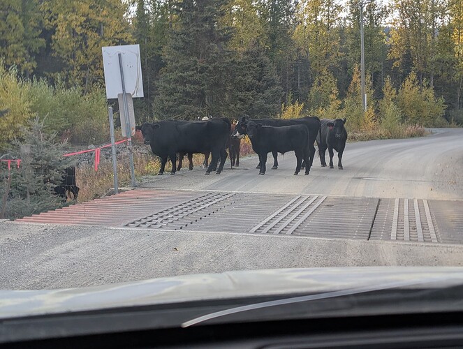 PXL_20251009_235932763