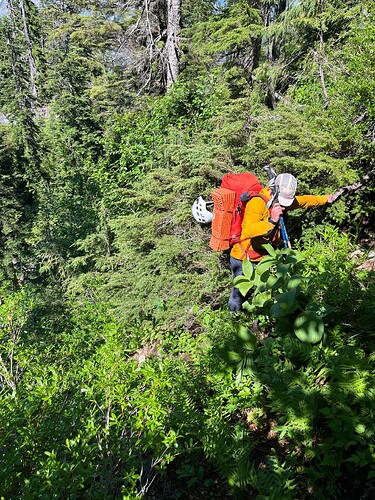 This doesn't actually look bad but it was