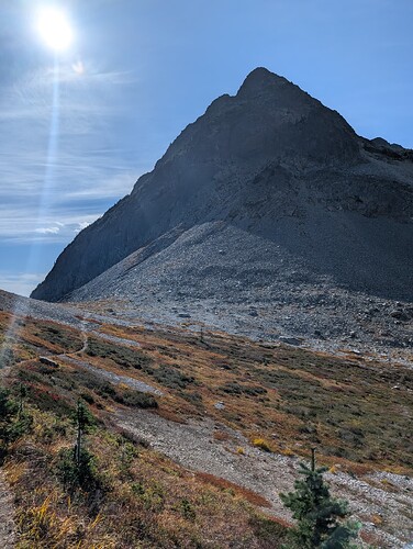 PXL_20251009_202045711