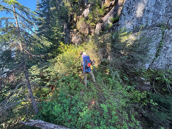 Looking up what we came down