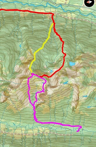 Ben Butca's Red snowshoes route, Alex Vlad Duffy Simon East Yellow.  Our West route pink