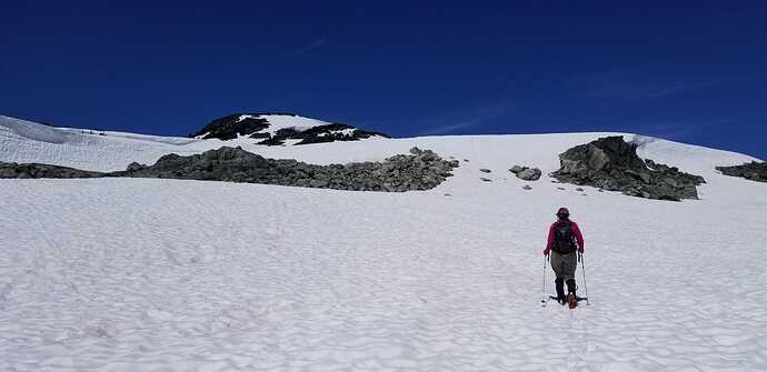 More open in the alpine.