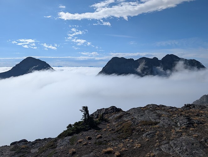 PXL_20251009_180721453