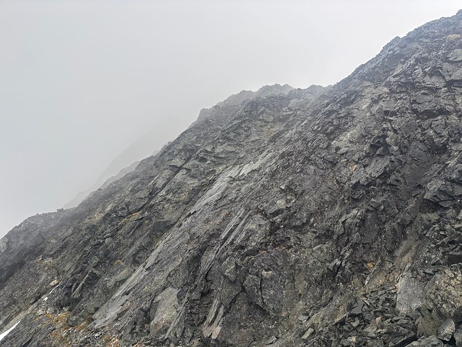 On second thought.. no thanks