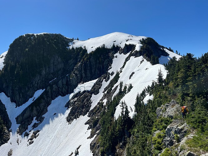 Looking back just before Bole