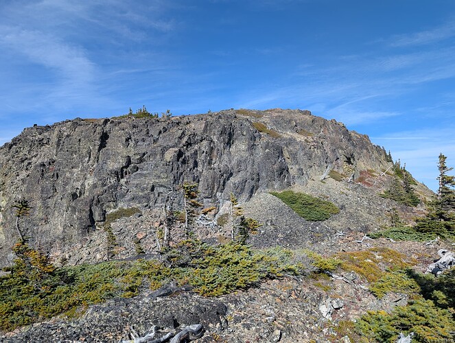 PXL_20251009_205727149