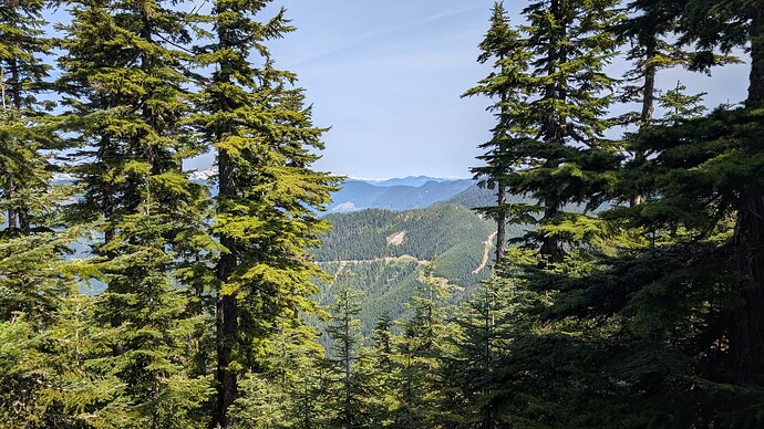 PXL_20250524_184546554