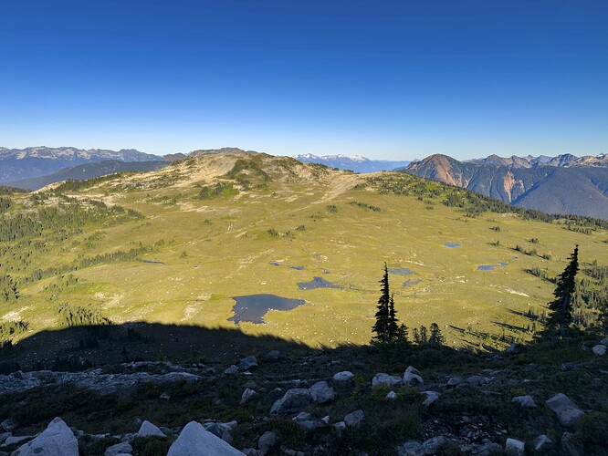 Bluemantle & Meadows