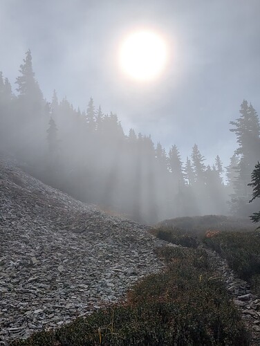 PXL_20251009_190412634