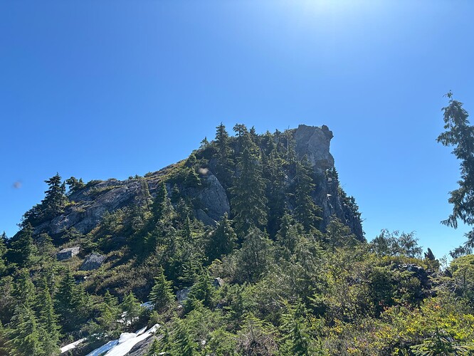 Shark fin from the base