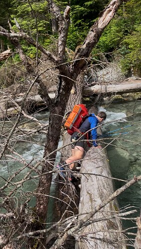 Crossing Gold Creek