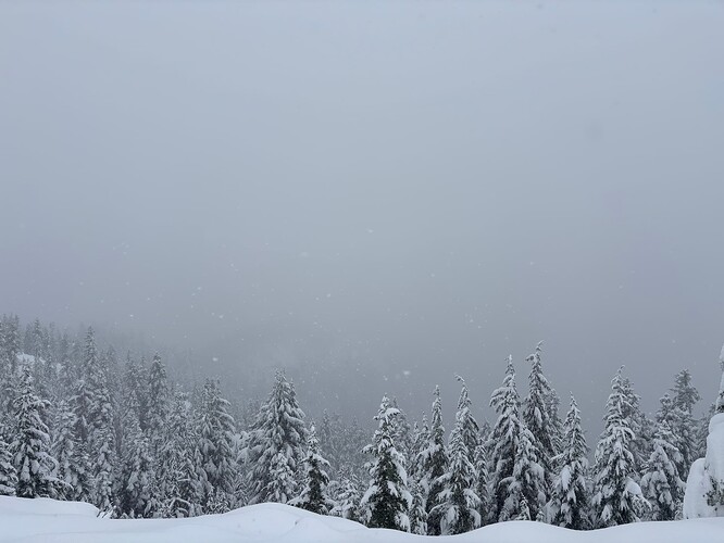 Not much to see sadly