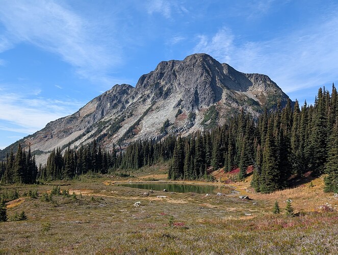 PXL_20251009_204114770