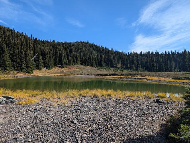 PXL_20251009_203750296