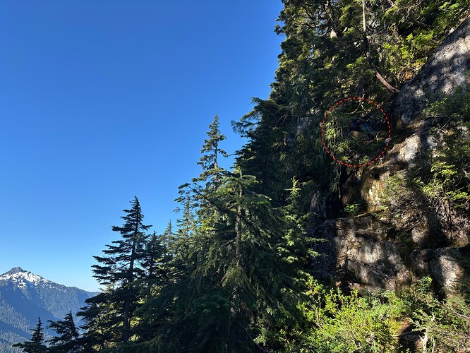 The bottom of the descent. Dean is circled