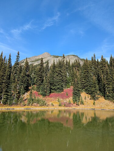 PXL_20251009_203844706