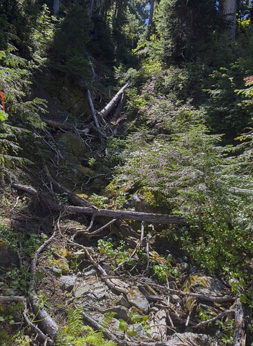 You want this drainage.