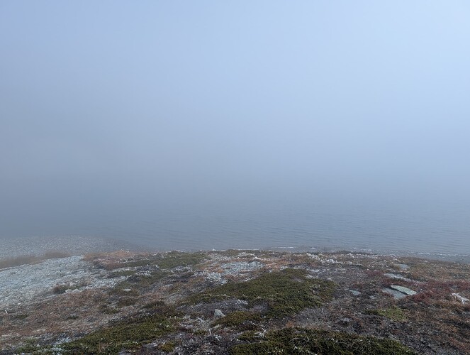 PXL_20251009_174748875