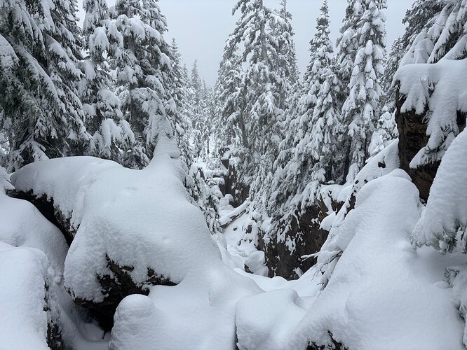 This was a weird fault line of some sorts. After I got home I discovered it's part of an impending landslide into the Jane basin.