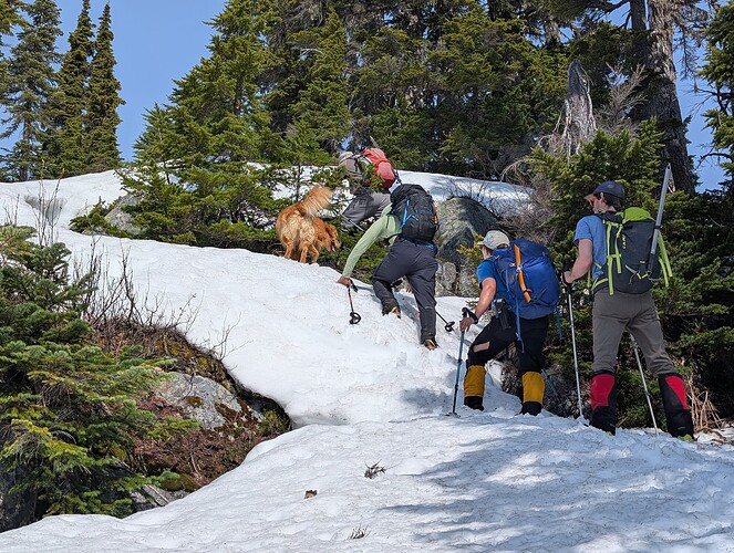 About as technical as the hike got