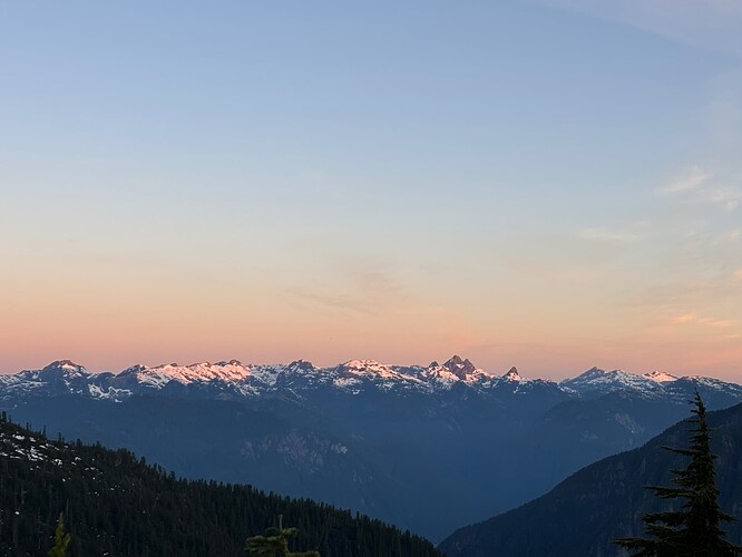 Pinecone Burke and the Fingers