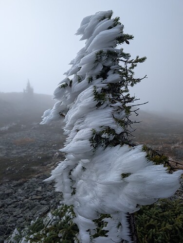 PXL_20251009_174545457