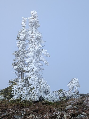 PXL_20251009_174409750