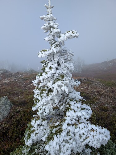 PXL_20251009_174008475