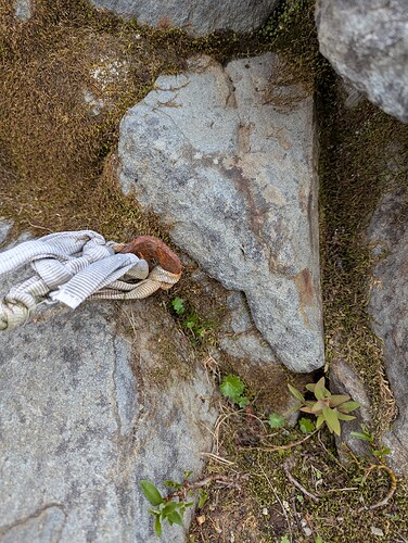 Some nauseating pins on this guy