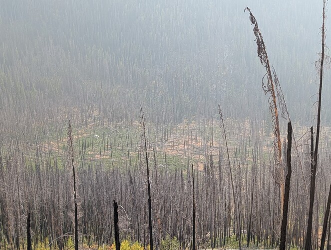 The windowmaker gauntlet we decided to not repeat.