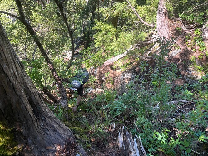 Coming up after the steep part