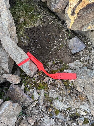 The basin below Stamp Peak had several flagged rocks. Some sort of geology survey?
