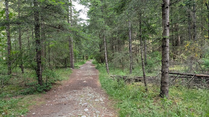 PXL_20250524_155342446
