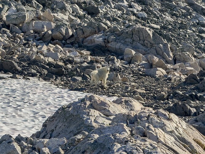 King of the Mountain