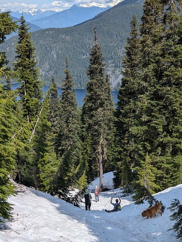 The gully leading back to the end of the FSR