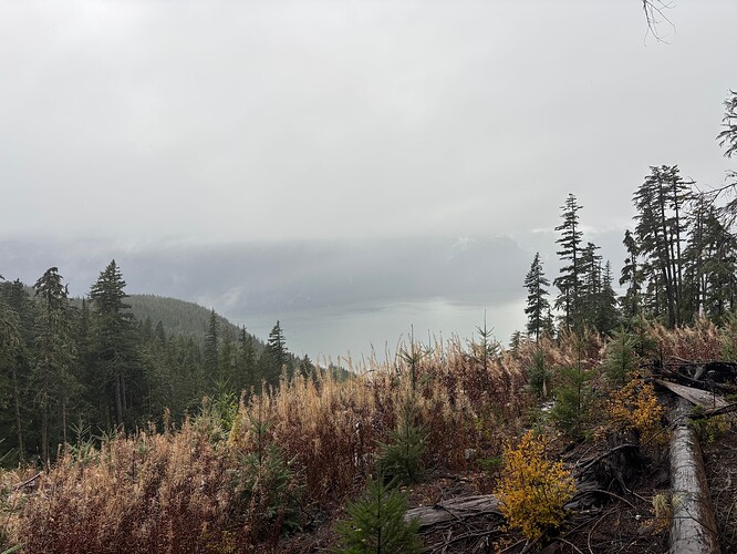 Views from the uppermost cut block