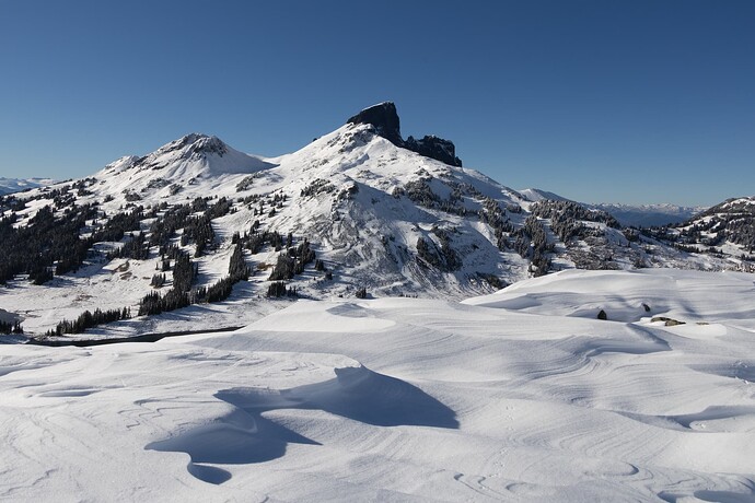 If you saw two weirdos on the trail taking a million photos of snow drifts, it was us.